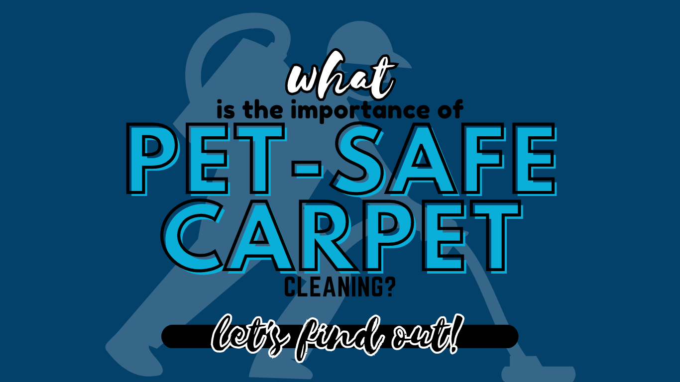 Is Carpet Cleaning Safe for Pets?